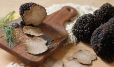 black truffles